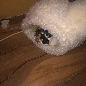 Meet your Posher, Jack